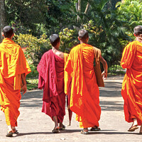 Buy canvas prints of Monks in orange and maroon robes by Kevin Hellon