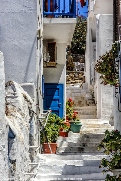 Typical house in Chora, Mykonos, Greece Picture Board by Kevin Hellon