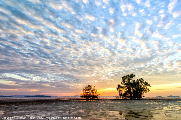 Trees at sunrise against a mackerel sky,  Picture Board by Kevin Hellon