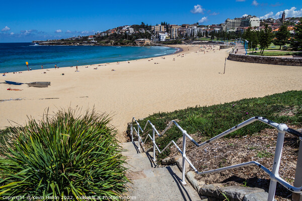 Coogee Beach, Sydney, New South Wales, Australia Picture Board by Kevin Hellon
