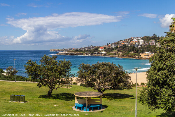 Dunningham Park overlooking Coogee Beach, Sydney, New South Wale Picture Board by Kevin Hellon
