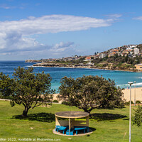 Buy canvas prints of Dunningham Park overlooking Coogee Beach, Sydney, New South Wale by Kevin Hellon