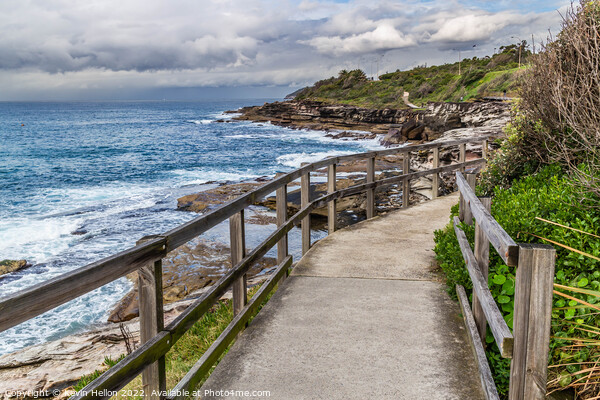 Walkway on the New South Wales coastline near Freshwater Bay Picture Board by Kevin Hellon