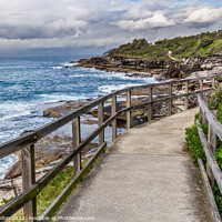Buy canvas prints of Walkway on the New South Wales coastline near Freshwater Bay by Kevin Hellon