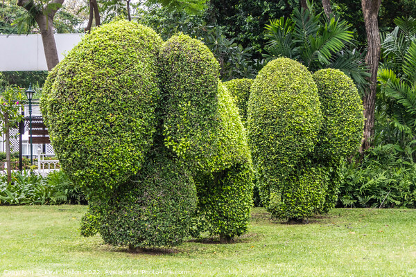 Topiary elephants, Hua Hin , Thailand Picture Board by Kevin Hellon