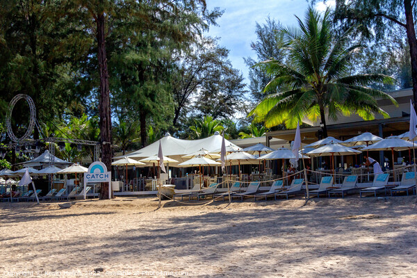 Catch Beach Club, Bang Tao beach, Phuket, Thailand Picture Board by Kevin Hellon