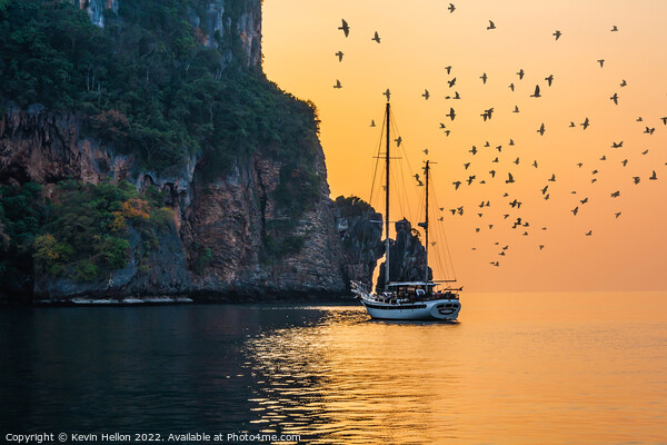 Birds at sunset, Koh Phi Phi, Krabi, Thailand Picture Board by Kevin Hellon