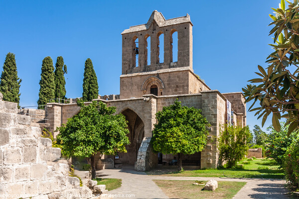 Bellapais Abbey, Northern Cyprus Picture Board by Kevin Hellon