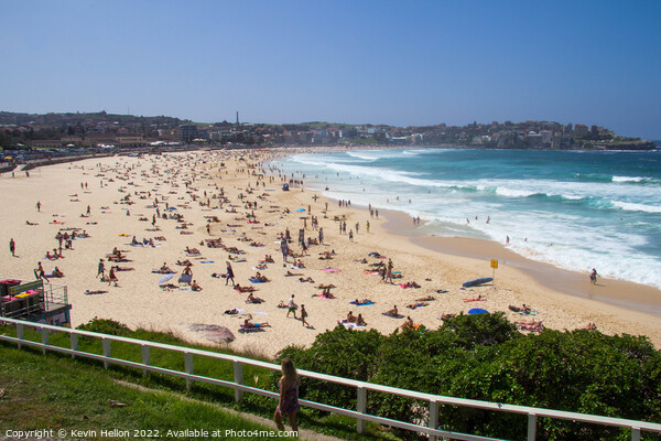 Bondi beach on a sunny summers day Picture Board by Kevin Hellon