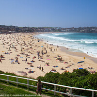 Buy canvas prints of Bondi beach on a sunny summers day by Kevin Hellon