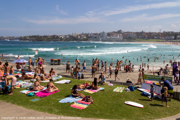 Bondi beach on a sunny summers day, Picture Board by Kevin Hellon