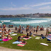Buy canvas prints of Bondi beach on a sunny summers day, by Kevin Hellon