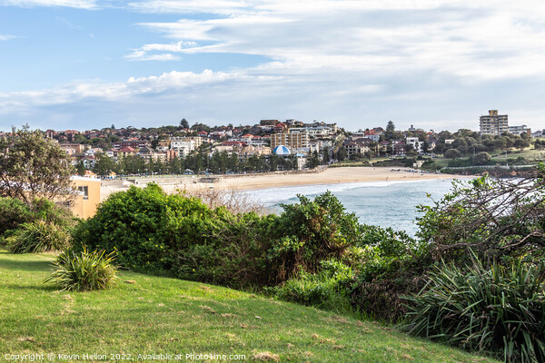 Beach, Coogee, Sydney, New South Wales, NSW, Australia Picture Board by Kevin Hellon