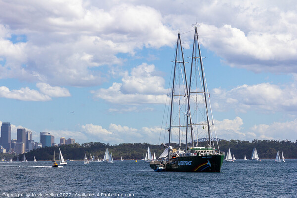The Greenpeace ship Rainbow Warrior anchored in Sydney Harbour Picture Board by Kevin Hellon