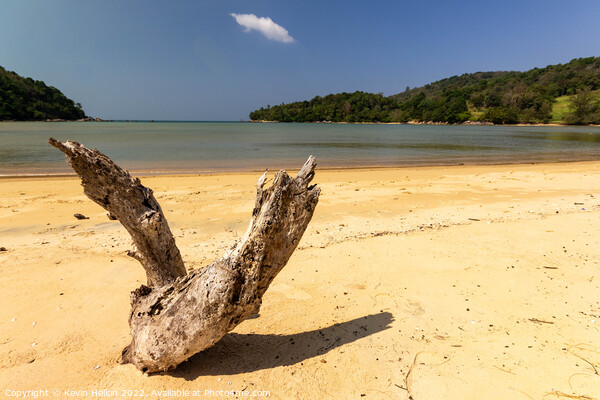 Driftwood on the white sand beach at Layan, Bang Tao Bay, Phuket Picture Board by Kevin Hellon