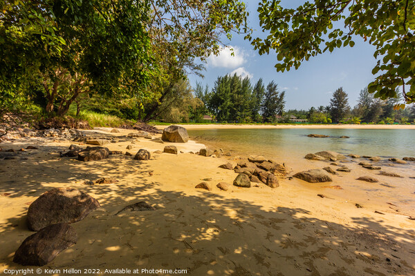 Trees on Layan Beach, Phuket, Thailand Picture Board by Kevin Hellon