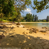 Buy canvas prints of Trees on Layan Beach, Phuket, Thailand by Kevin Hellon