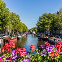 Buy canvas prints of Flowers on the Prinsengracht, by Kevin Hellon