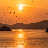 Buy canvas prints of Birds at sunset by Kevin Hellon