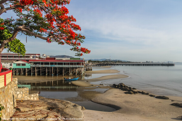 Pier, beach and flame tree, Hua Hin, Thailand Picture Board by Kevin Hellon