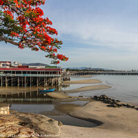 Buy canvas prints of Pier, beach and flame tree, Hua Hin, Thailand by Kevin Hellon