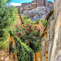 Buy canvas prints of Narrow street in the Plaka district below the Acro by Kevin Hellon