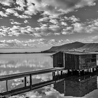 Buy canvas prints of Boatshed at Hooper's Inlet, Otago Peninsular, South Island, New  by Kevin Hellon