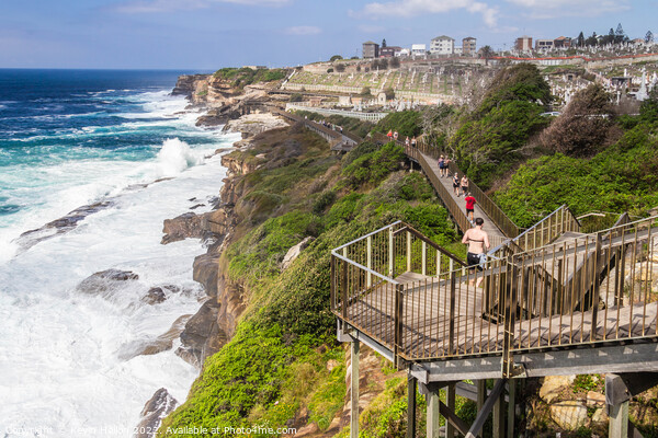 The Bondi to Coogee coastal walk with rough seas and Waverley ce Picture Board by Kevin Hellon