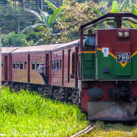 Buy canvas prints of The Kandy to Ella train, Sri Lanka by Kevin Hellon