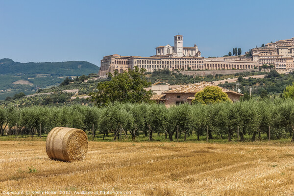 Hay roll overlooked by the Basilica di San Francesco D'Assisi, Umbria, Italy Picture Board by Kevin Hellon
