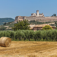 Buy canvas prints of Hay roll overlooked by the Basilica di San Francesco D'Assisi, Umbria, Italy by Kevin Hellon