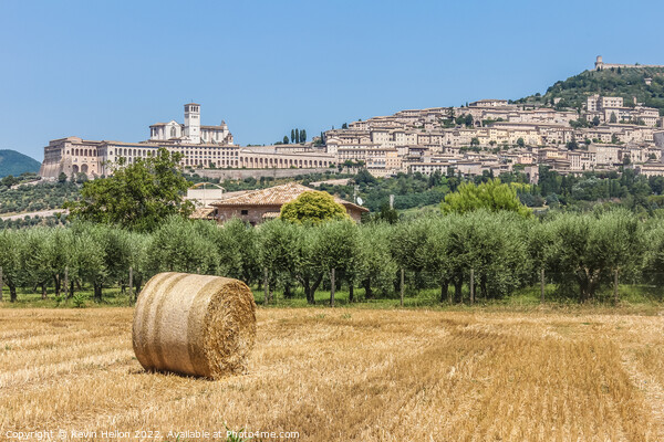 Hay roll overlooked by the Basilica di San Francesco D'Assisi, U Picture Board by Kevin Hellon