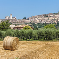 Buy canvas prints of Hay roll overlooked by the Basilica di San Francesco D'Assisi, U by Kevin Hellon