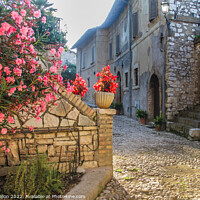 Buy canvas prints of Narrow, cobbled street with flowers, by Kevin Hellon