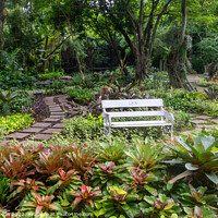 Buy canvas prints of Garden Bench by Kevin Hellon