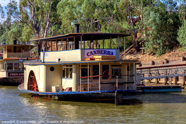 Paddle steamer, Canberra, Murray River, Echuca, Victoria, Austra Picture Board by Kevin Hellon