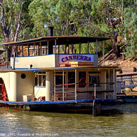 Buy canvas prints of Paddle steamer, Canberra, Murray River, Echuca, Victoria, Austra by Kevin Hellon