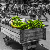 Buy canvas prints of Man pushing crt of bananas in Colombo, Sri Lanka by Kevin Hellon
