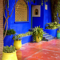 Buy canvas prints of Garden of Yves St Laurent, Marrakesh, Morocco by Kevin Hellon