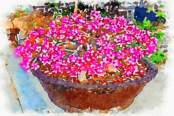 Bowl of pink Adenium flowers - Digital watercolour Picture Board by Kevin Hellon