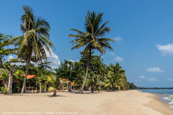 Resort on tropical beach with palm trees in Chumph Picture Board by Kevin Hellon