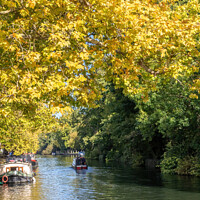 Buy canvas prints of The River Thames at Maidenhead, by Kevin Hellon