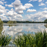 Buy canvas prints of Little Marlow Lakes Country Park by Kevin Hellon