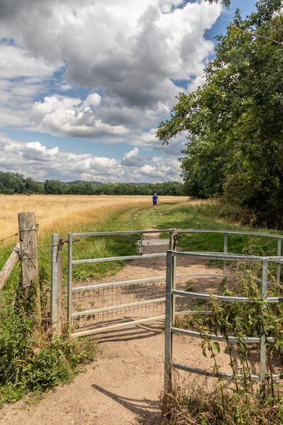 Gate on the Thames Path Picture Board by Kevin Hellon