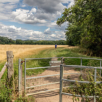 Buy canvas prints of Gate on the Thames Path by Kevin Hellon