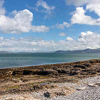 Buy canvas prints of Seaweed and pebble beach, Penmon, by Kevin Hellon