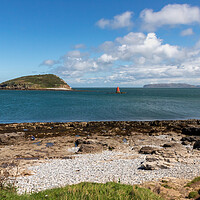 Buy canvas prints of Puffin Island  by Kevin Hellon