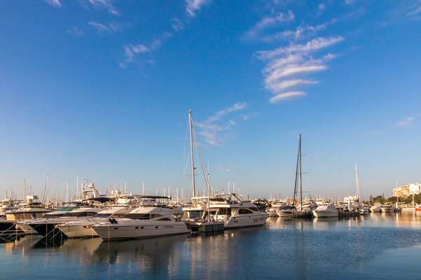 Alicante marina, Spain Picture Board by Kevin Hellon