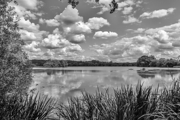 Little Marlow Lakes Country Park, Picture Board by Kevin Hellon