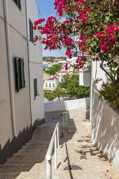 Steep street with Bougainvillea flowers, Albufeira, Portugal Picture Board by Kevin Hellon
